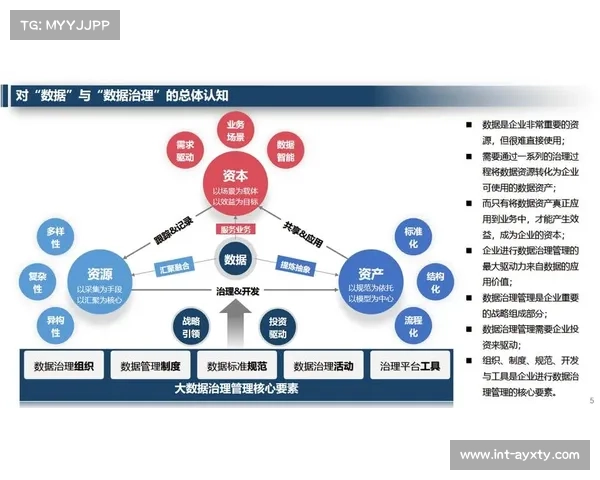 数据治理体系完善，提升数据资产价值